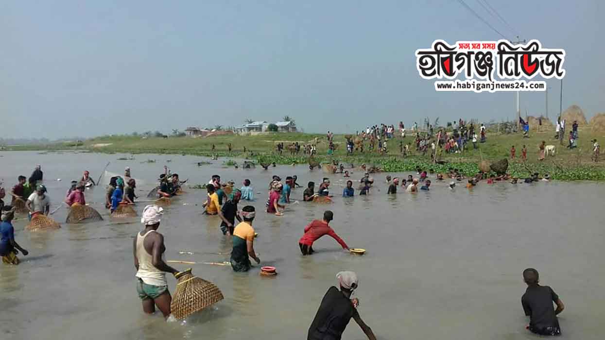 বানিয়াচংয়ে অনুষ্ঠিত হলো "পলো বাইচ" অনুষ্ঠান, অন্ধকারে প্রশাসন বানিয়াচংয়ে অনুষ্ঠিত হলে "পলো বাইচ"