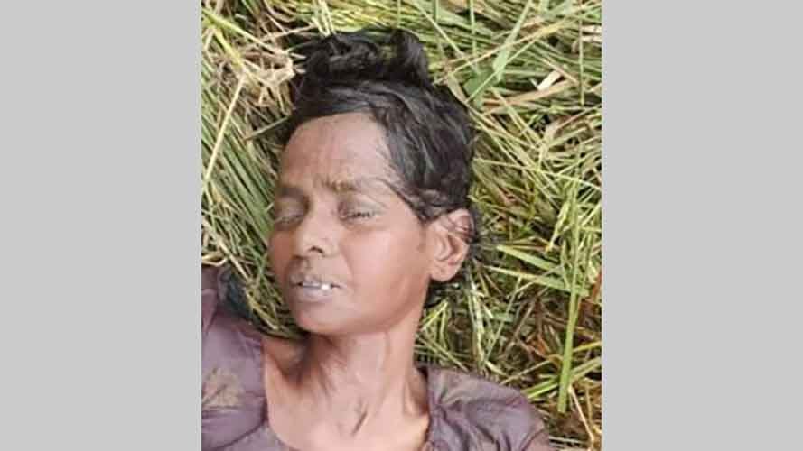 বানিয়াচংয়ে অজ্ঞাত এক নারীর লাশ উদ্ধার বানিয়াচংয়ে-অজ্ঞাত-এক-নারীর-লাশ-উদ্ধার