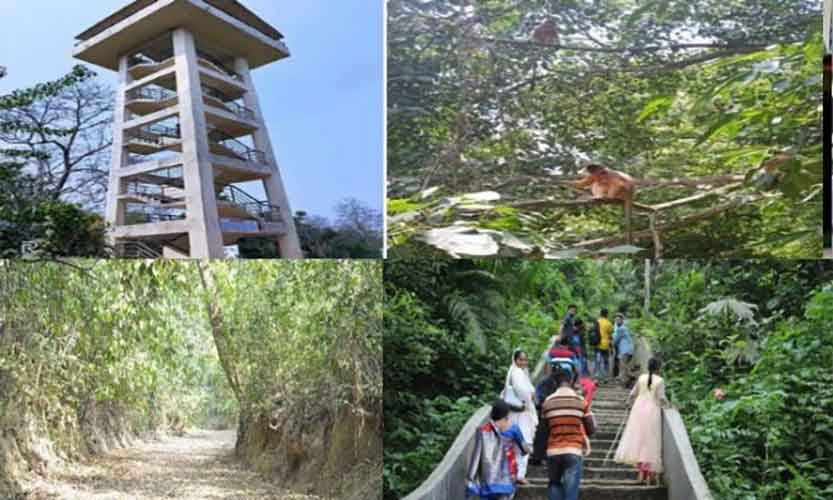 সাতছড়ি উদ্যানে ফুটেছে ফুল, অবাধে ঘুরছে বন্যপ্রাণী সাতছড়ি উদ্যানে ফুটেছে ফুল, অবাধে ঘুরছে বন্যপ্রাণী