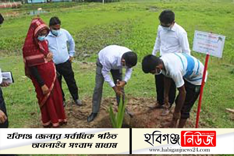 লাখাইয়ে জেলা প্রশাসকের বৃক্ষ রোপণ লাখাইয়ে-জেলা-প্রশাসকের-বৃক্ষ-রোপণ