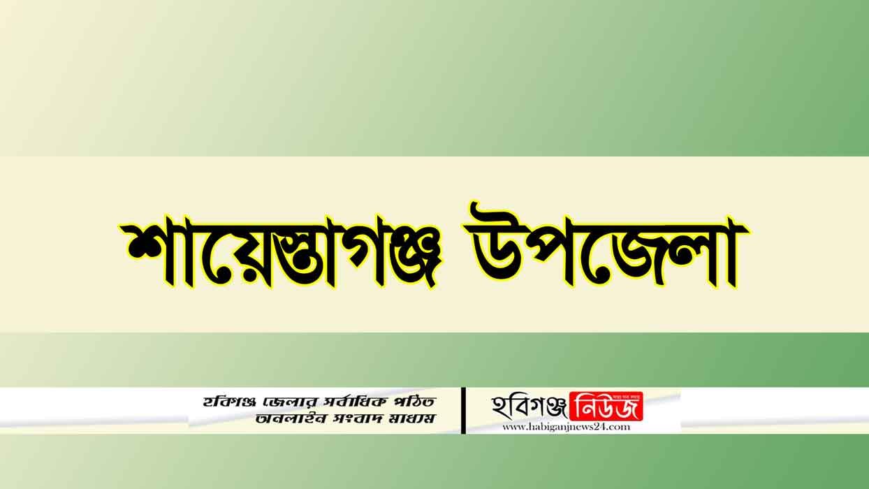 শায়েস্তাগঞ্জ ঐতিহ্যবাহী দাউদনগর বাজার ব্যকস সাধারণ সভার সিদ্ধান্তে আগামী ২৪ জুন আহবায়ক কমিটি গঠন শায়েস্তাগঞ্জ-উপজেলা