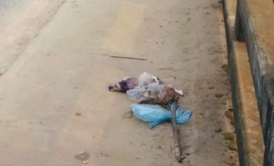 বাহুবল মহাসড়কে নবজাতকের লাশ উদ্ধার বাহুবল মহাসড়কে নবজাতকের লাশ উদ্ধার
