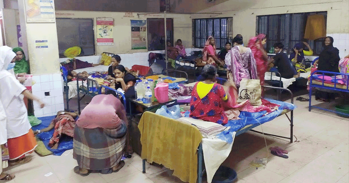 হবিগঞ্জে ভ্যাপসা গরমে দেখা দিয়েছে রোগ বালাই হবিগঞ্জে ভ্যাপসা গরমে দেখা দিয়েছে রোগ বালাই