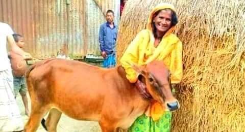 উদ্ধার হলো চোরাই গরু, কান্না ভুলে হাসলেন মাহমুদা কান্না ভুলে হাসলেন মাহমুদা