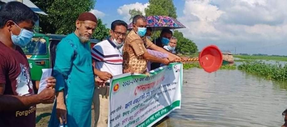 লাখাইয়ে প্লাবন ভূমিতে পোনামাছ অবমুক্তকরণ লাখাইয়ে প্লাবন ভূমিতে পোনামাছ অবমুক্তকরণ