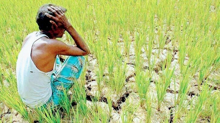 লাখাইয়ে সারের মূল্য বৃদ্ধিতে বিপাকে কৃষক লাখাইয়ে সারের মূল্য বৃদ্ধিতে বিপাকে কৃষক