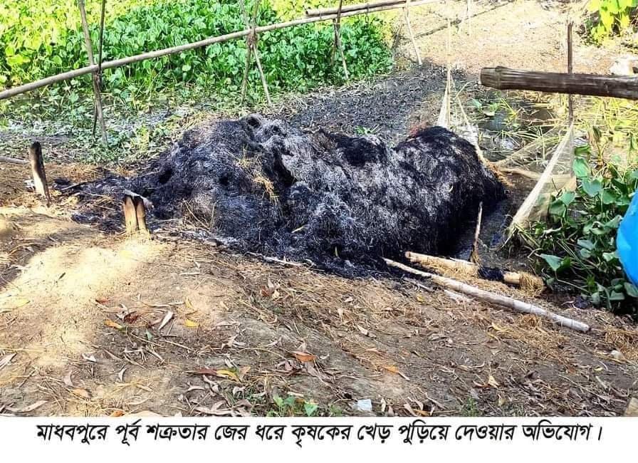 মাধবপুরে শক্রতার জেরে খড় পুড়িয়ে দেওয়ার অভিযোগ মাধবপুরে শক্রতার জেরে খড় পুড়িয়ে দেওয়ার অভিযোগ