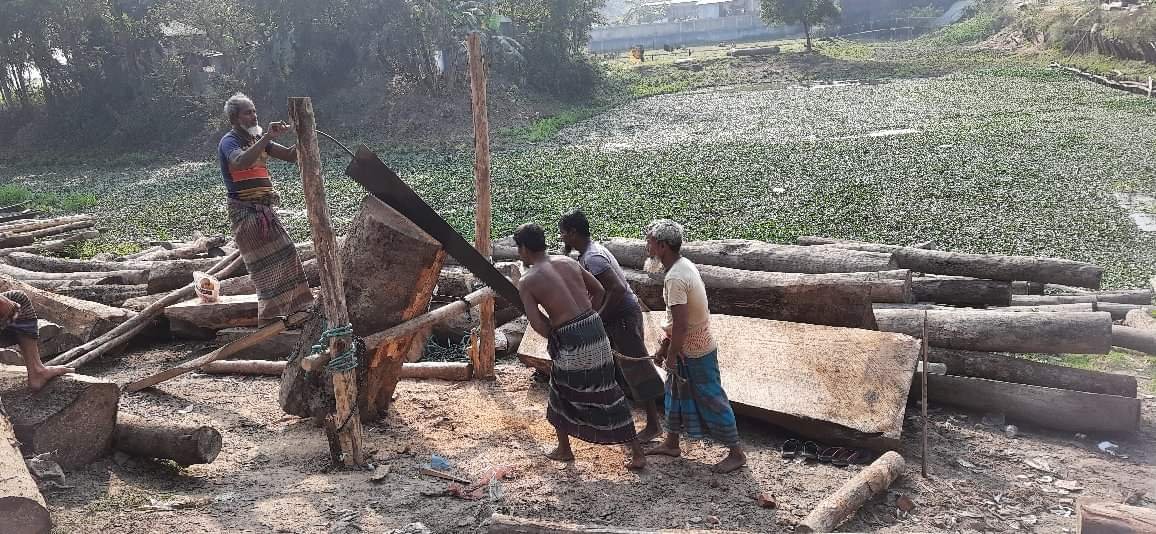 করাতীদের দূর্দিন চলছে, অভাবে পেশা বদল করাতীদের দূর্দিন চলছে, অভাবে পেশা বদল