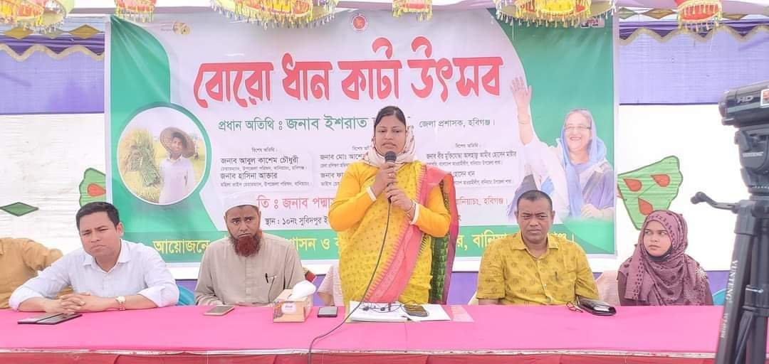বানিয়াচংয়ে বোরো ধান কাটা উৎসব অনুষ্টিত বানিয়াচংয়ে বোরো ধান কাটা উৎসব অনুষ্টিত
