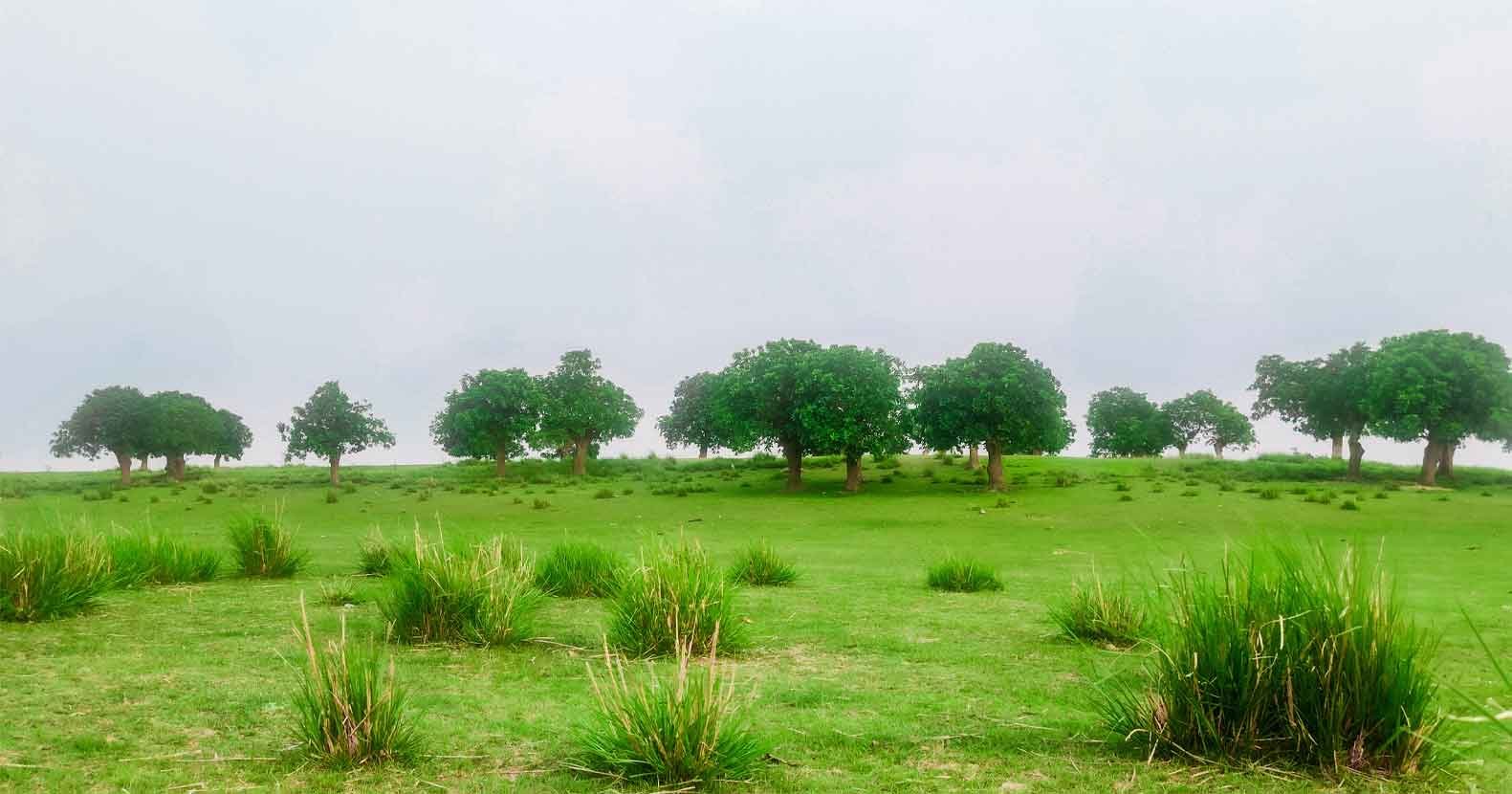 স্থানটির নাম বাগারিয়া স্থানটির নাম বাগারিয়া