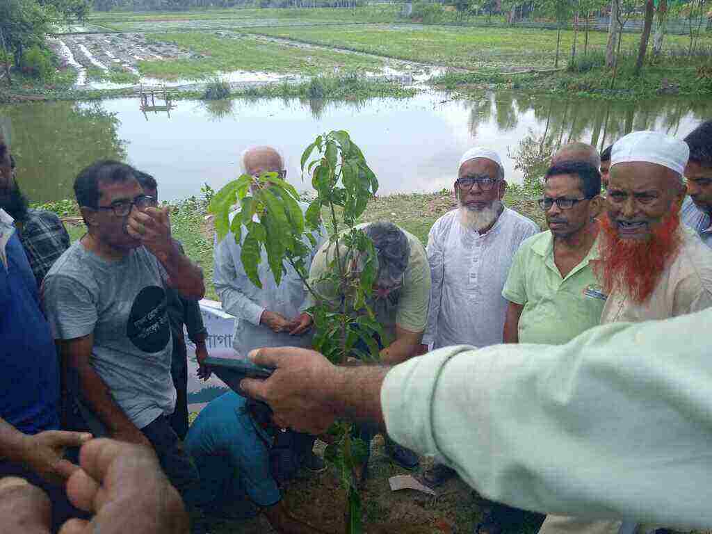 জলবায়ু পরিবর্তনের অভিঘাত মোকাবেলায় হাওরে বৃক্ষরোপণ – Habiganj News