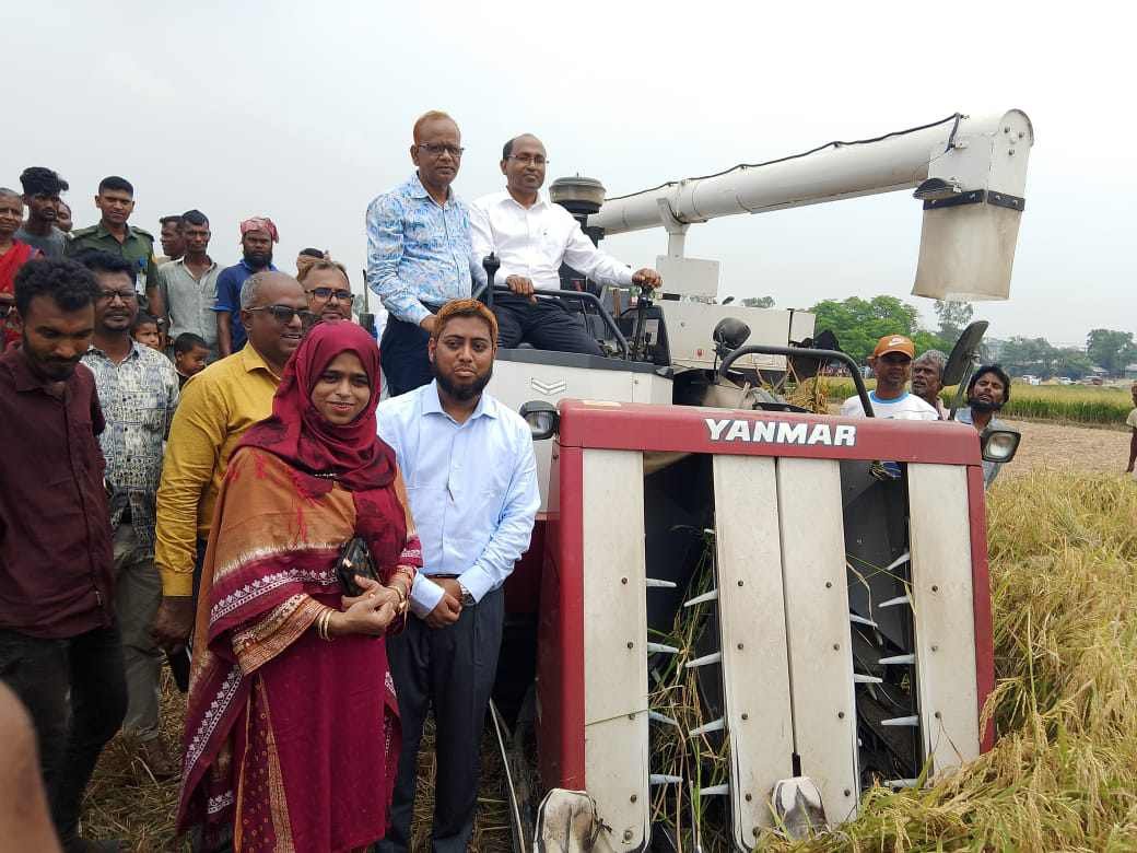 বানিয়াচংয়ে বোরো ধান কাটা উৎসব অনুষ্ঠিত বানিয়াচংয়ে বোরো ধান কাটা উৎসব অনুষ্ঠিত