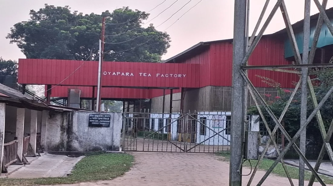 নোয়াপাড়া চা বাগানে দুই বছর ধরে গ্যাস সংযোগ বিচ্ছিন্ন নোয়াপাড়া চা বাগানে দুই বছর ধরে গ্যাস সংযোগ বিচ্ছিন্ন