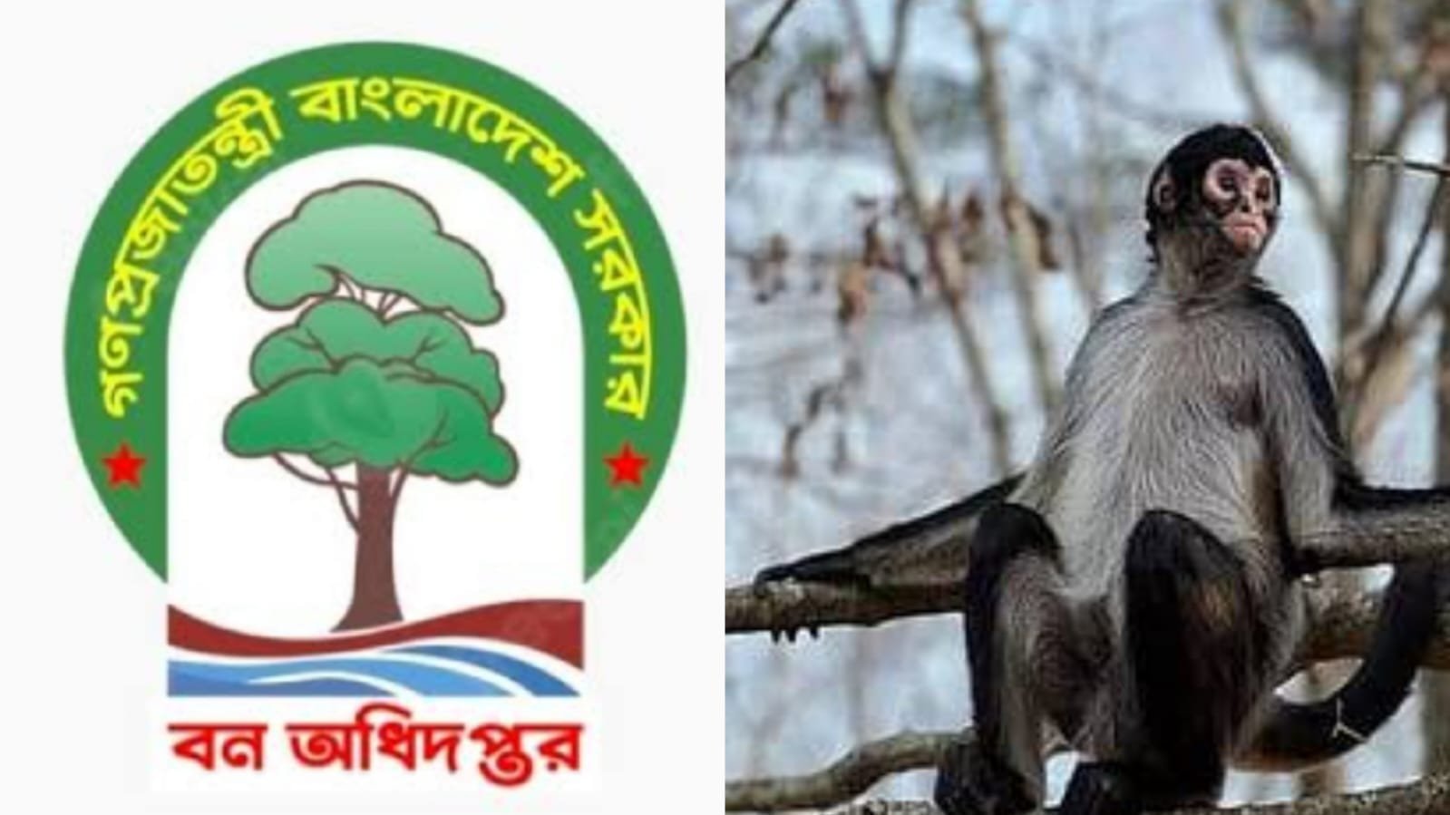 বন্যপ্রাণী উদ্ধার পুরস্কারের টাকাগুলো গেল কোথায়? বন্যপ্রাণী উদ্ধার পুরস্কারের টাকাগুলো গেল কোথায়?