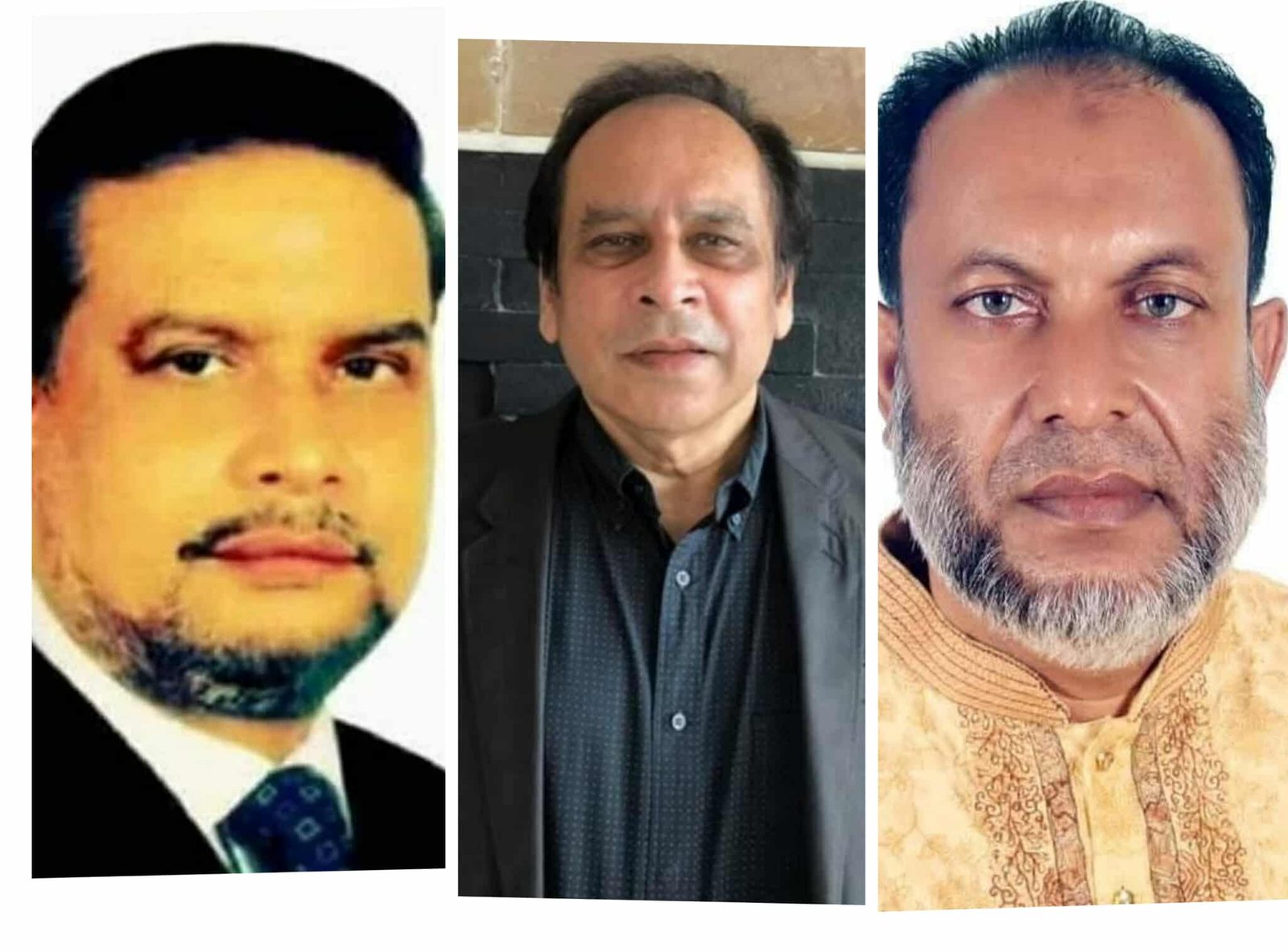 হবিগঞ্জ–১ (নবীগঞ্জ–বাহুবল) আসনে ধানের শীষ মনোনয়ন দৌড়ে তিন প্রার্থী