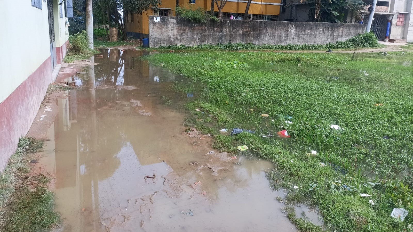মাধবপুরে পৌর এলাকায় সামান্য বৃষ্টিতেই জলাবদ্ধতা মাধবপুরে পৌর এলাকায় সামান্য বৃষ্টিতেই জলাবদ্ধতা