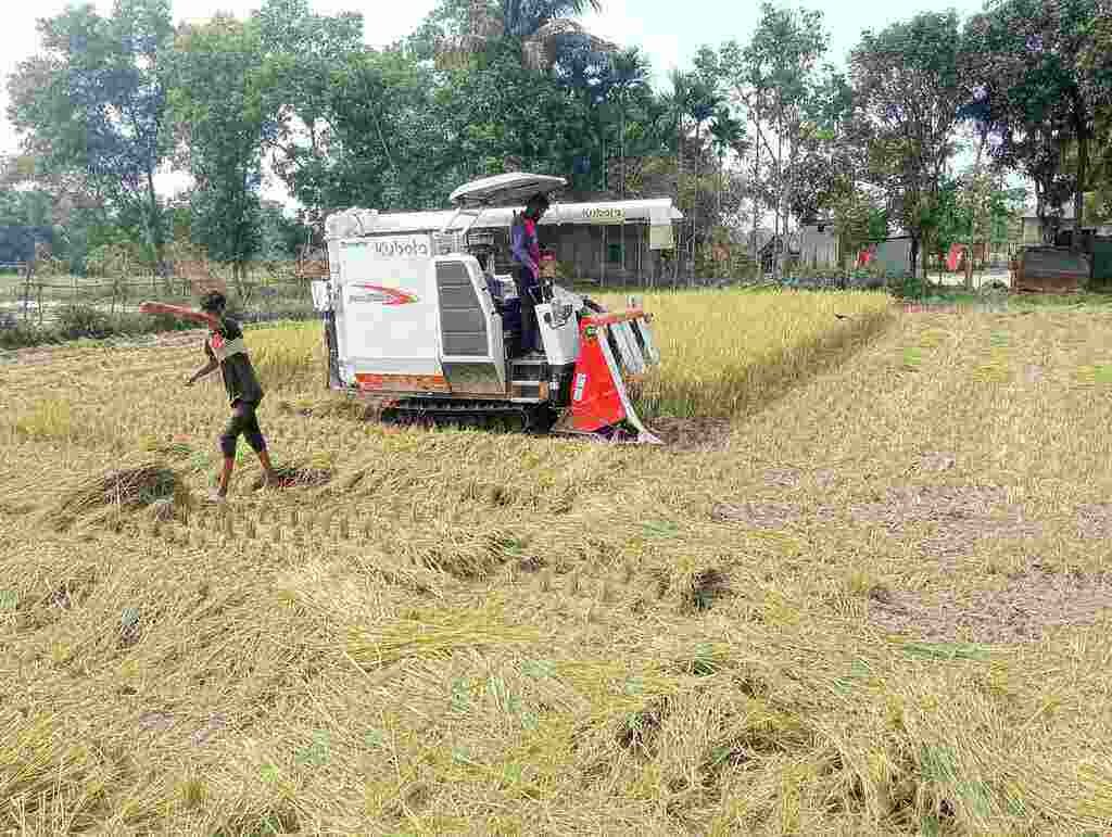 সরকার নির্ধারিত মূল্যে হারভেস্টার সুবিধা পাচ্ছেন না মাধবপুরের কৃষকরা সরকার নির্ধারিত মূল্যে হারভেস্টার সুবিধা পাচ্ছেন না মাধবপুরের কৃষকরা