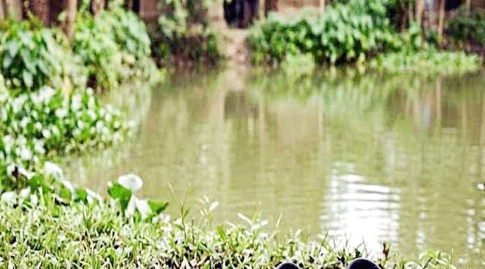 শায়েস্তাগঞ্জে পুকুরে ডুবে দুই ভাইয়ের মর্মান্তিক মৃ ত্যু