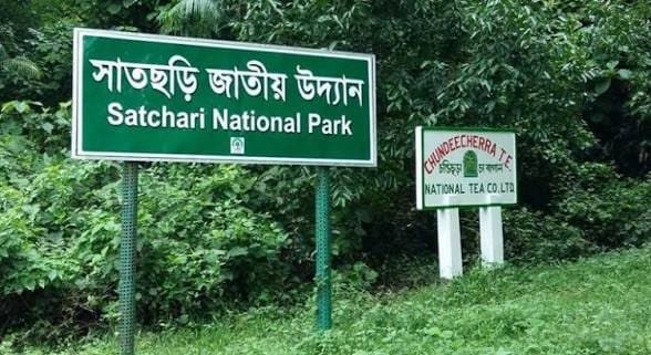 সাতছড়ি উদ্যানে বিএনপির নেতাকর্মীসহ ৬২ জনের বিরুদ্ধে গাছ চুরির মামলা