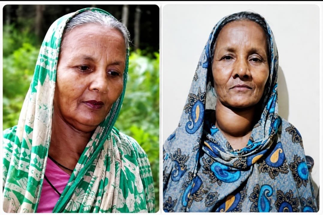 বীরাঙ্গনা ও যুদ্ধশিশুর ভিটেমাটি দখলের অভিযোগ, নিরাপত্তা-সহায়তা চান মা-মেয়ে
